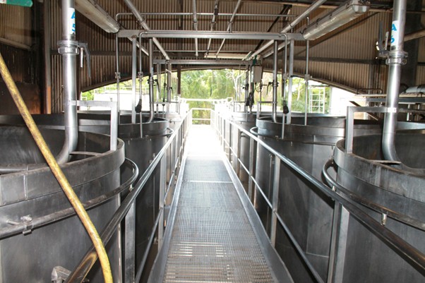 Distillerie_Bielle